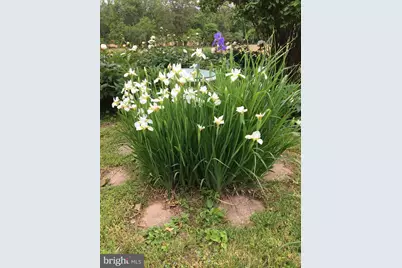 36279 & 36285 E Loudoun Street, Round Hill, VA 20141 - Photo 70