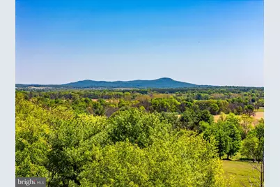 42165 Black Walnut Lane, Leesburg, VA 20176 - Photo 86