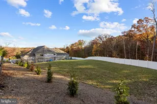 24035 & 24029 New Mountain Rd, Aldie, VA 20105 - Photo 74