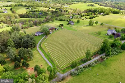40817 Browns Lane, Waterford, VA 20197 - Photo 2