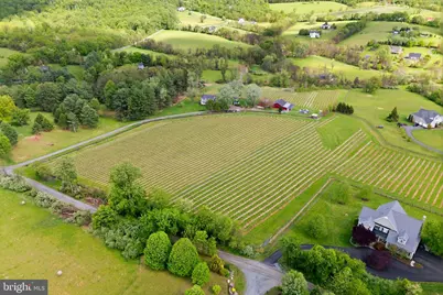 40817 Browns Lane, Waterford, VA 20197 - Photo 4