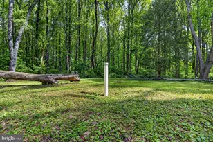 39600 Bluegrass Ln, Aldie, VA 20105 - Photo 4