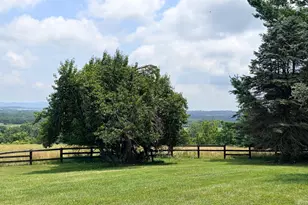 13087 James Monroe Hwy, Leesburg, VA 20176 - Photo 10