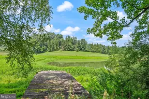 13087 James Monroe Hwy, Leesburg, VA 20176 - Photo 108