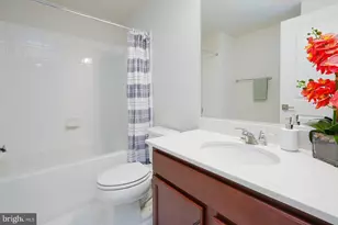 24385 White Elm Pl, Aldie, VA 20105 - Photo 50