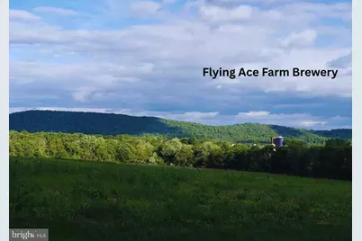 40975 Yakey, Lovettsville, VA 20180 - Photo 16