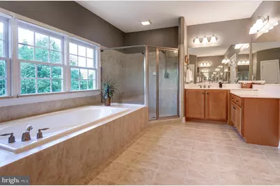 16555 Chestnut Overlook Drive, Purcellville, VA 20132 - Photo 48