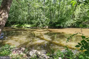 13316 Downey Mill Rd, Lovettsville, VA 20180 - Photo 28