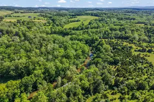 13316 Downey Mill Rd, Lovettsville, VA 20180 - Photo 36