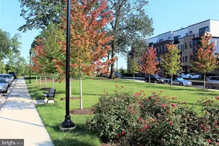 42464 Mildred Lndg Sq, Ashburn, VA 20148 - Photo 62