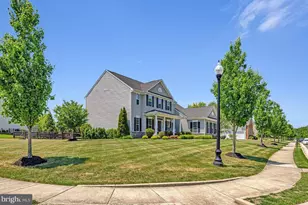 42232 Madturkey Run Pl N, Chantilly, VA 20152 - Photo 4