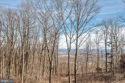 17345 Raven Rocks Road, Bluemont, VA 20135 - Photo 86