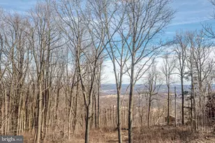 17345 Raven Rocks Rd, Bluemont, VA 20135 - Photo 86