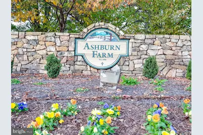 43260 Clearnight Terrace, Ashburn, VA 20147 - Photo 30