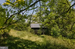 37961 Forest Mills Rd, Leesburg, VA 20175 - Photo 114