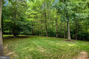47165 Timberland Pl, Sterling, VA 20165 - Photo 58