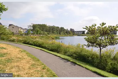 42463 Pine Forest Drive, Chantilly, VA 20152 - Photo 34