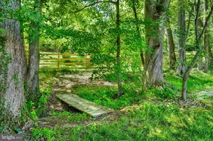 210 S Hughes St, Hamilton, VA 20158 - Photo 24