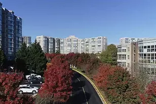 19370 Magnolia Grove Square, Leesburg, VA 20176 - Photo 2
