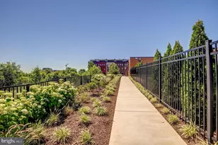 43414 Grandmoore St, Ashburn, VA 20148 - Photo 56