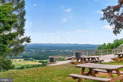 18616 Foggy Bottom Road, Bluemont, VA 20135 - Photo 120