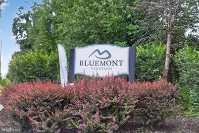 18616 Foggy Bottom Road, Bluemont, VA 20135 - Photo 122