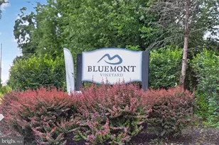 18616 Foggy Bottom Rd, Bluemont, VA 20135 - Photo 122