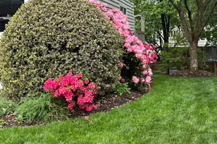 21603 Goodwin Ct, Broadlands, VA 20148 - Photo 12