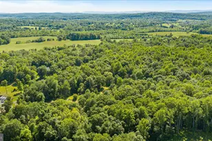 41216 Bridges Farm Ln, Leesburg, VA 20175 - Photo 8