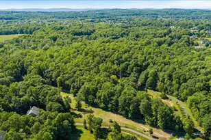 41216 Bridges Farm Ln, Leesburg, VA 20175 - Photo 16