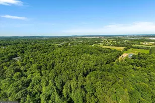 41216 Bridges Farm Ln, Leesburg, VA 20175 - Photo 14