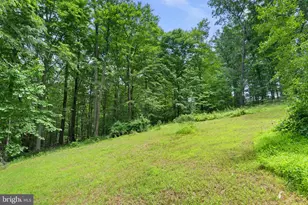 18429 Woodburn Rd, Leesburg, VA 20175 - Photo 80