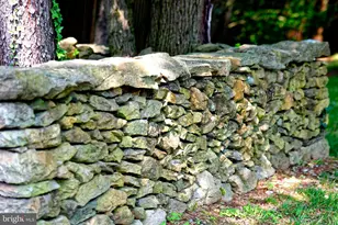 36006 Little River Tpke, Middleburg, VA 20117 - Photo 42