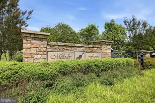 42451 Madturkey Run Pl, Chantilly, VA 20152 - Photo 46