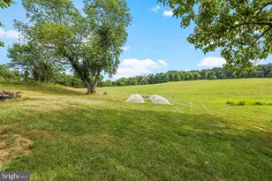 18373 Lickey Mill Rd, Purcellville, VA 20132 - Photo 60