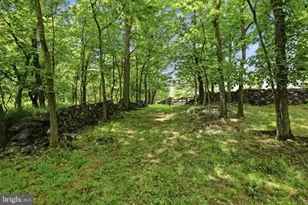 34294 Bridgestone Ln, Bluemont, VA 20135 - Photo 78
