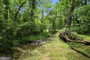 34294 Bridgestone Ln, Bluemont, VA 20135 - Photo 82