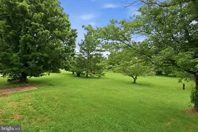 39335 Bolington Road, Lovettsville, VA 20180 - Photo 22