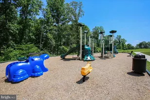 25833 Sycamore Grove Pl, Aldie, VA 20105 - Photo 52