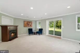 38689 Cassia Ln, Lovettsville, VA 20180 - Photo 50