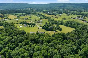 38689 Cassia Ln, Lovettsville, VA 20180 - Photo 102