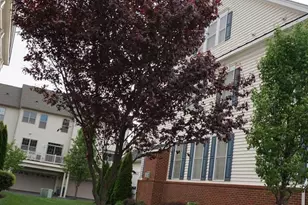 22535 Willington Square, Ashburn, VA 20148 - Photo 4