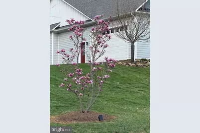 13855 Paris Breeze Place, Hillsboro, VA 20132 - Photo 78