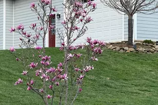13855 Paris Breeze Pl, Hillsboro, VA 20132 - Photo 78