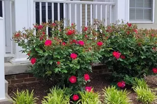 43074 Old Gallivan Terrace, Ashburn, VA 20147 - Photo 2