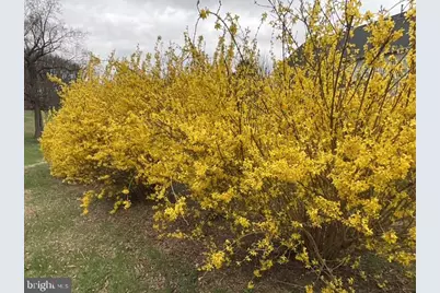 42012 Glynn Tarra Place, Leesburg, VA 20176 - Photo 110