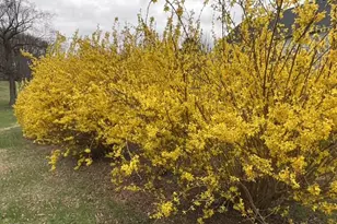 42012 Glynn Tarra Pl, Leesburg, VA 20176 - Photo 110