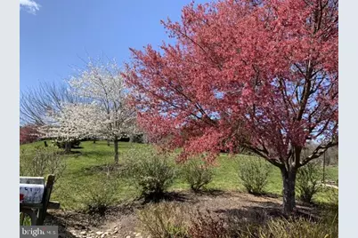 42012 Glynn Tarra Place, Leesburg, VA 20176 - Photo 108