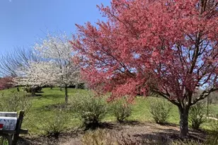 42012 Glynn Tarra Pl, Leesburg, VA 20176 - Photo 108