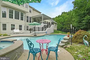 43317 Cedar Pond Pl, Chantilly, VA 20152 - Photo 78